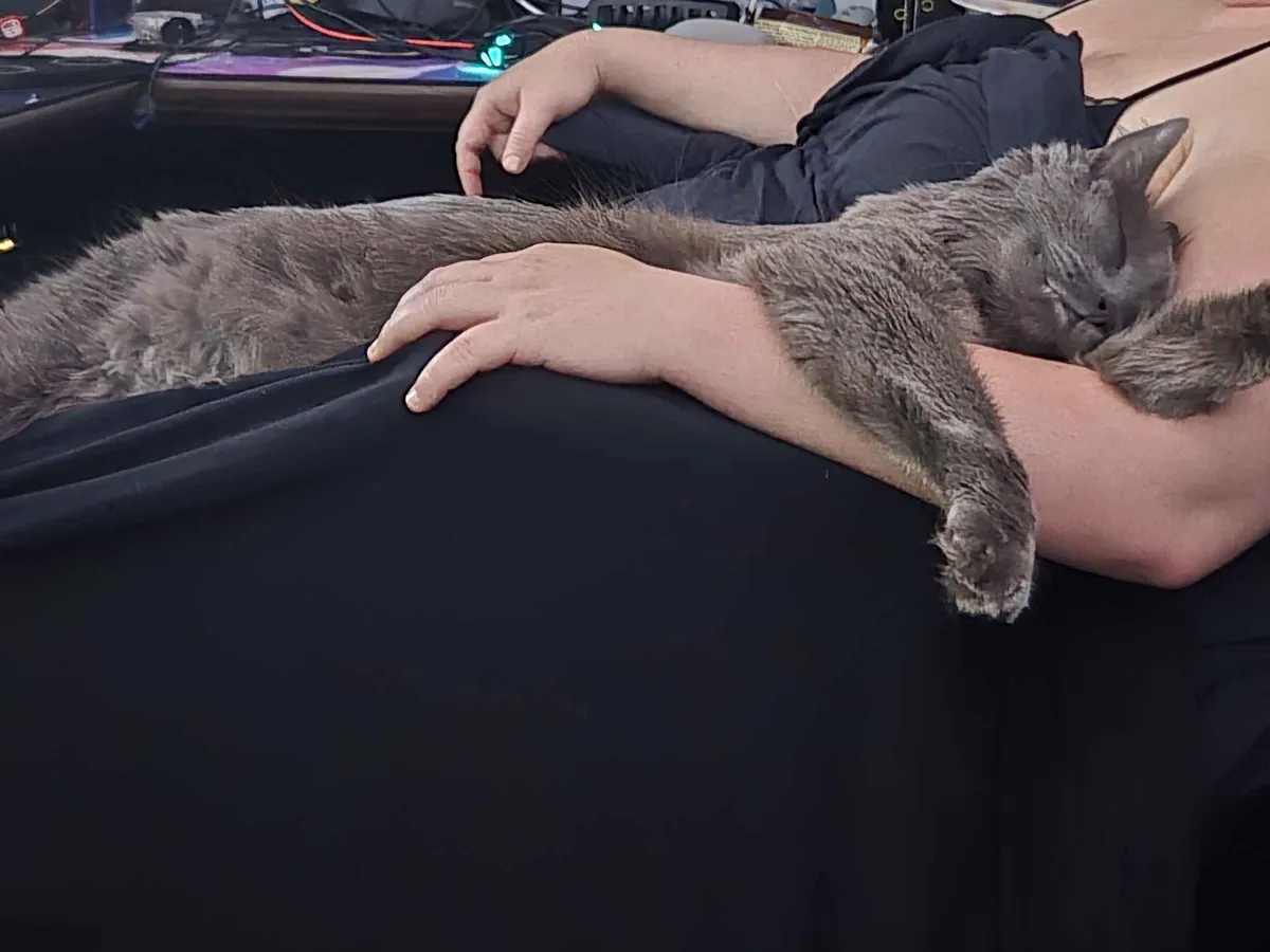 Catastrophe