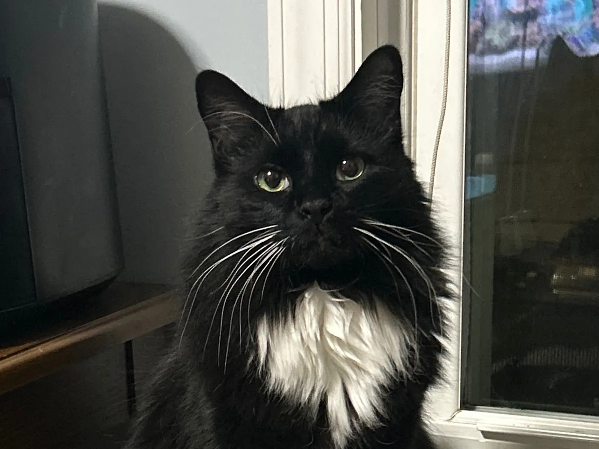 Jack